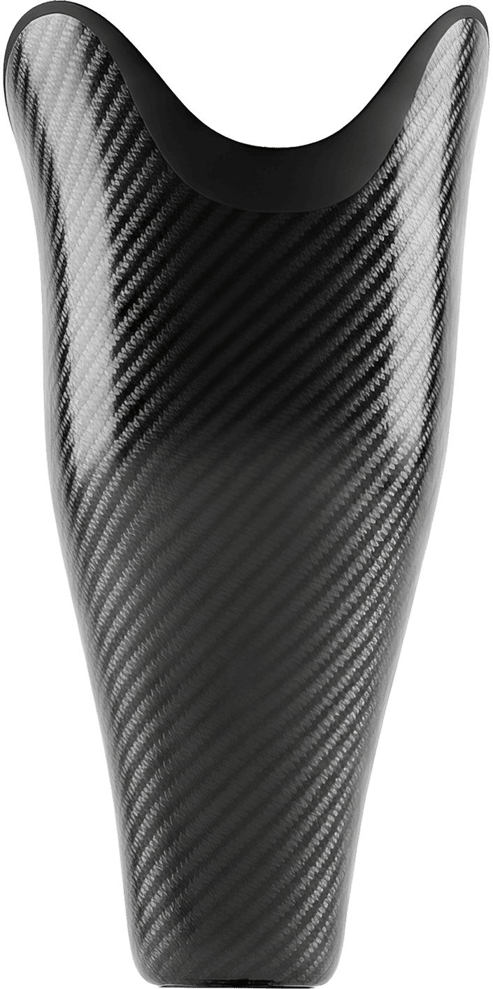 leg1